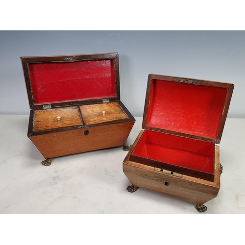 485 - A birds eye maple Tea Caddy with brass ring handles and paw feet, and another Jewellery Casket with ... 