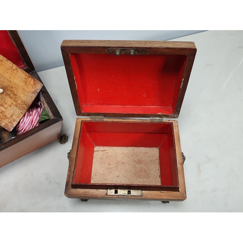 485 - A birds eye maple Tea Caddy with brass ring handles and paw feet, and another Jewellery Casket with ... 