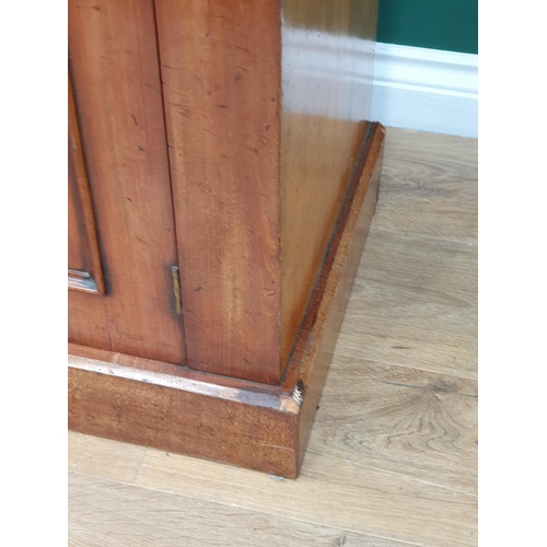 502 - A Victorian mahogany Chiffonier with pair of fitted drawers above pair of cupboard doors, 4ft 11