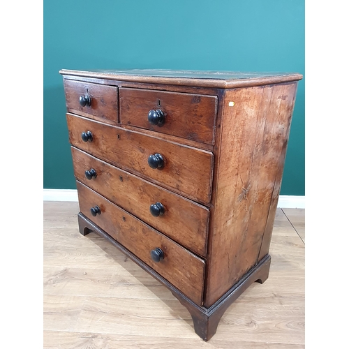 567 - An antique burr oak Chest of two short, three long Drawers on bracket feet, 3ft 7