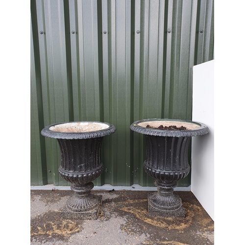 622 - A pair of cast iron garden Urns with egg and dart borders and pedestal bases, 19in H