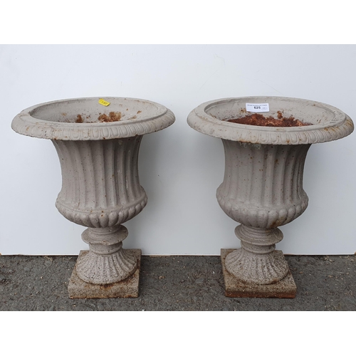 625 - A small pair of painted cast iron Garden Urns with egg and dart borders and pedestal bases, 14in H