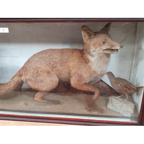 1 - A Taxidermy mounted Fox, Water Rail and Pheasant and a Fox Brush in associated glazed display Case, ... 