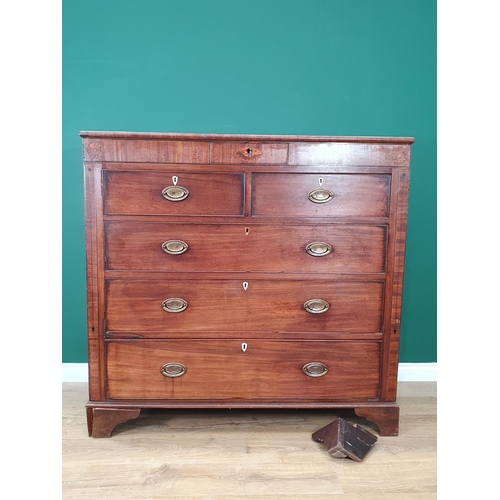 281 - A 19th Century mahogany and satinwood inlaid Chest of two short, three long graduated Drawers, with ... 