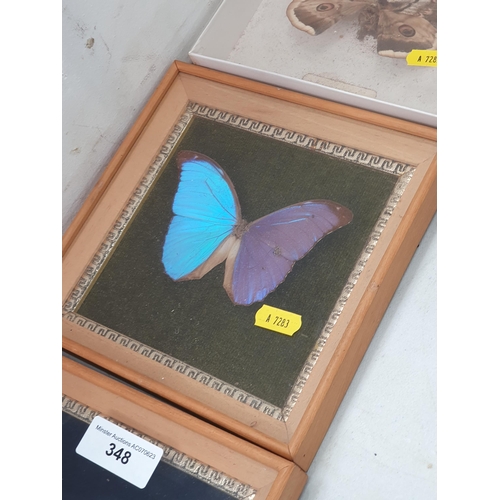 348 - Four cases containing mounted butterflies