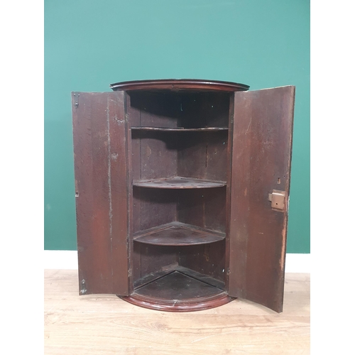 492 - An antique mahogany Bow Front Hanging Corner Cupboard with three fitted shelves, 3ft High x 1ft 11in... 