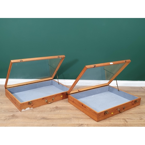 58 - A pair of pine glazed Display Case with hinged lids and carry handles, 30