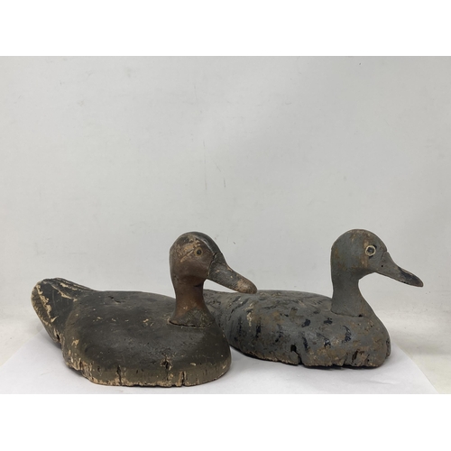 1142 - Two early 20th Century Continental Teal Decoys with painted cork bodies and carved wooden heads, one... 