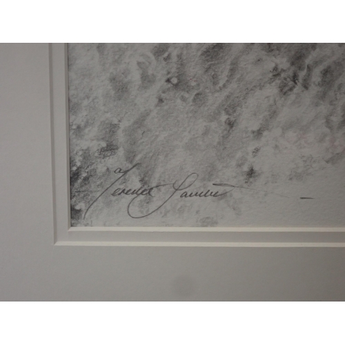 1207 - TERENCE LAMBERT.(b.1951) 'Atlantic Salmon taking a Fly', pencil drawing, signed, 27 1/4in x 9 1/4in