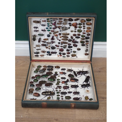 1018 - An Entomological Case in the form of a book containing a collection of Coleoptera, generally in fair... 