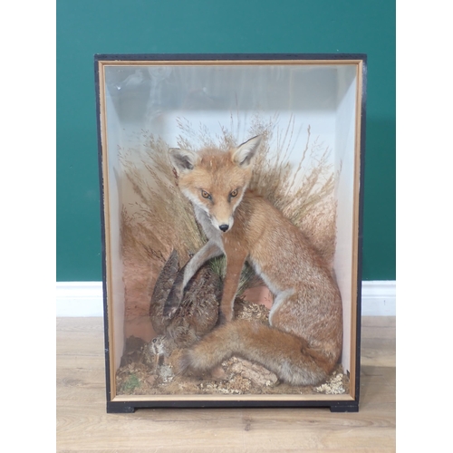 1123 - An ebonised taxidermy Case displaying a Fox with Woodcock prey upon lichen covered rock amongst gras... 