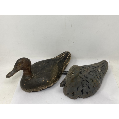 1142 - Two early 20th Century Continental Teal Decoys with painted cork bodies and carved wooden heads, one... 