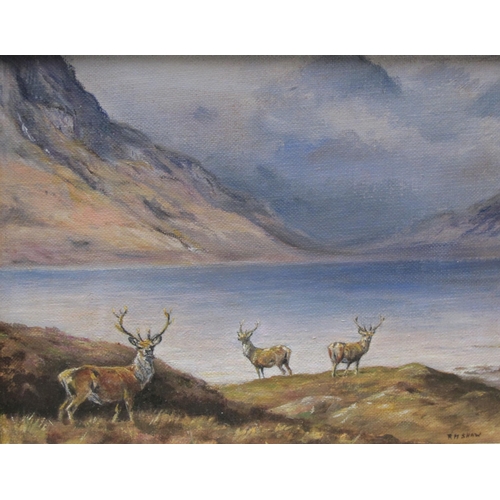 1230 - RACHEL M. SHAW (Leominster Artist) - 'In the Far Highlands', Stags at Loch Side, oil on board, signe... 