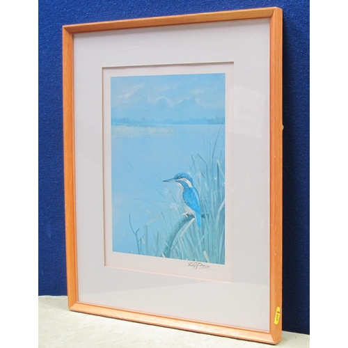 1231 - CHRISTOPHER HUGHES (b.1955) - Study of a Kingfisher perched on reeds, watercolour, signed (12½ x 10½... 