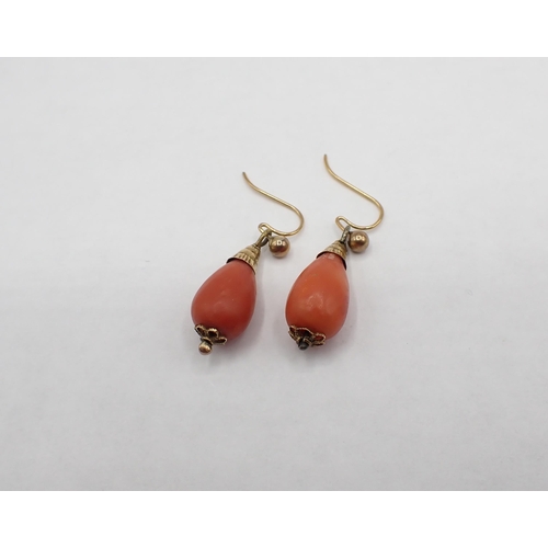 191 - A pair of Coral drop Earrings on wire fittings