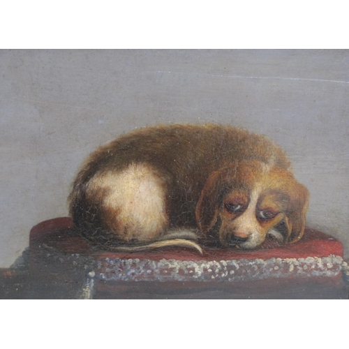 269 - CONTINENTAL SCHOOL, 19th CENTURY. A Spaniel on a Cushion, oil on panel, 9 1/2 x 12in