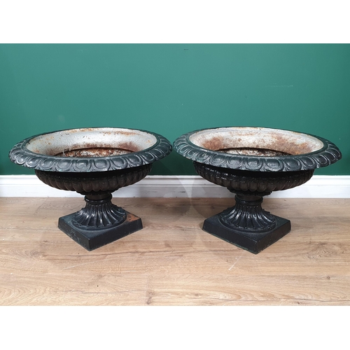 511 - A pair of cast iron black painted Pedestal Urns with egg and dart frieze 1ft 9in D x 1ft 2in H