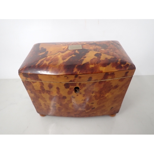 531 - A 19th Century tortoiseshell bow front Tea Caddy with interior divisions, on bun feet, 6½in