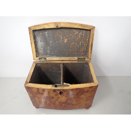 531 - A 19th Century tortoiseshell bow front Tea Caddy with interior divisions, on bun feet, 6½in