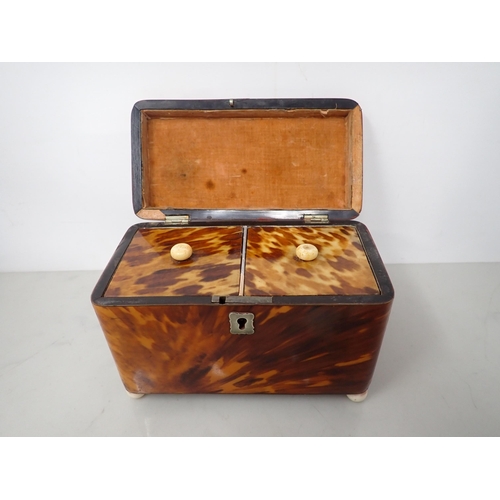 540 - A 19th Century tortoiseshell Tea Caddy with two interior lidded divisions, on bun feet, 6¼in