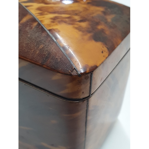 540 - A 19th Century tortoiseshell Tea Caddy with two interior lidded divisions, on bun feet, 6¼in