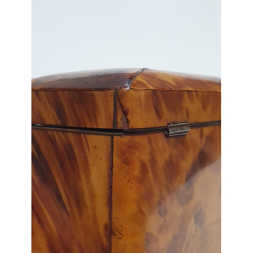 540 - A 19th Century tortoiseshell Tea Caddy with two interior lidded divisions, on bun feet, 6¼in