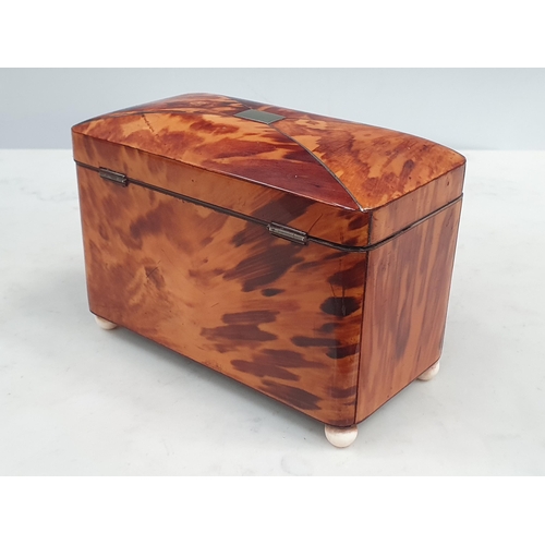 540 - A 19th Century tortoiseshell Tea Caddy with two interior lidded divisions, on bun feet, 6¼in