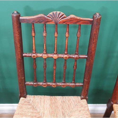 562 - A set of six 19th Century ash fan back spindle Chairs with rush seats on turned supports and stretch... 