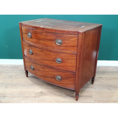 563 - A Regency mahogany bowfront Chest of three long drawers flanked by squared columns and raised on squ... 