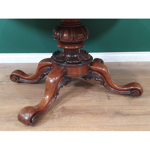 583 - A 19th Century rosewood oval Centre Table mounted upon bulbous gadrooned column and four scroll supp... 