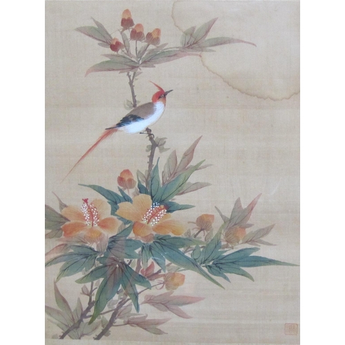 408 - CHINESE SCHOOL, 20th Century. A Bulbul, Sun Bird and other birds amongst foliage; three (3); an Ange... 