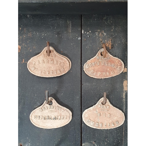 40 - A glazed ebonised Cabinet containing  a quantity of fruit tree labels on hooks, 21 x 15in