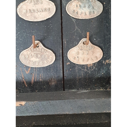 40 - A glazed ebonised Cabinet containing  a quantity of fruit tree labels on hooks, 21 x 15in