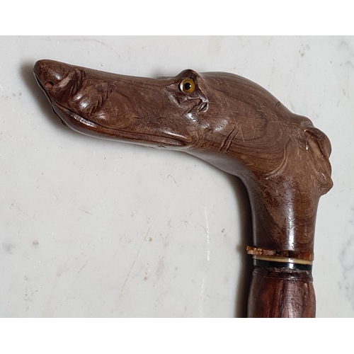 170 - A Walking Stick with carved greyhound head handle (lacks one eye)