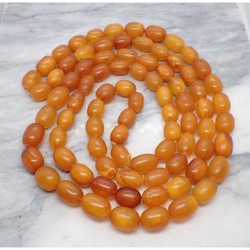 153 - A butterscotch Amber bead Necklace, approx 101gms