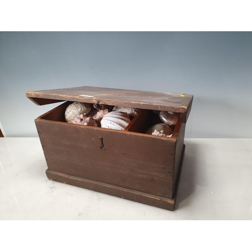 215 - A stained pine Box containing a variety of shells, box measures 15in W x 8in H