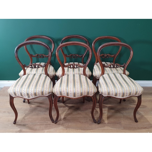 24 - A set of six Victorian striped upholstered rosewood balloon back Dining Chairs on sabre supports.