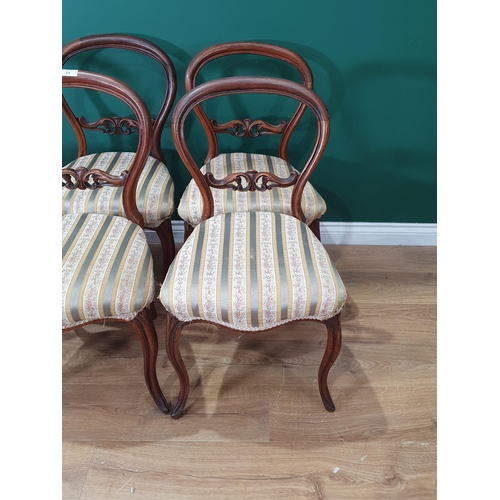 24 - A set of six Victorian striped upholstered rosewood balloon back Dining Chairs on sabre supports.