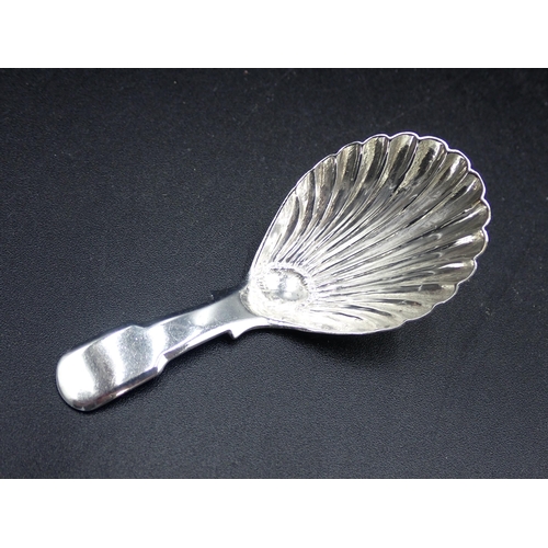 77 - A George IV silver Caddy Spoon, fiddle pattern with scallop bowl, London 1828, maker: W.K.