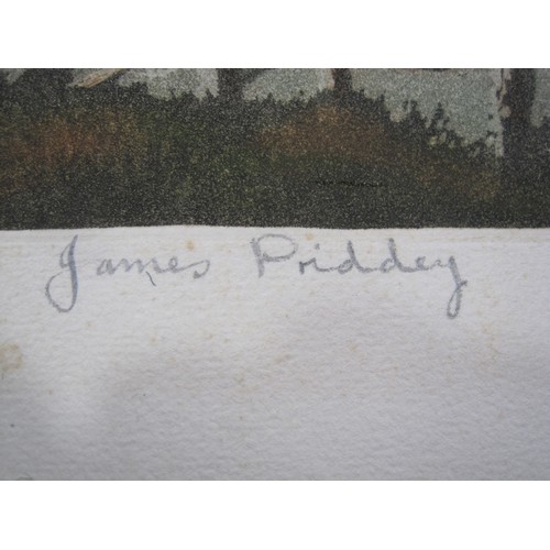 459 - JAMES PRIDDEY RBSA. After the Storm, coloured print, signed and inscribed as title in lower margin, ... 