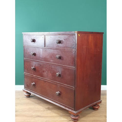 504 - A mahogany Chest of two short, three long Drawers with carved drawer knobs, on turned bun feet, A/F,... 