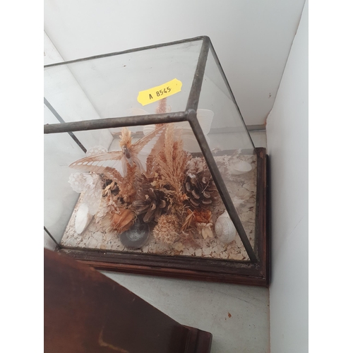 327 - A glazed Case displaying tropical Butterfly Specimens, a Carriage Clock and two Mantle Clocks