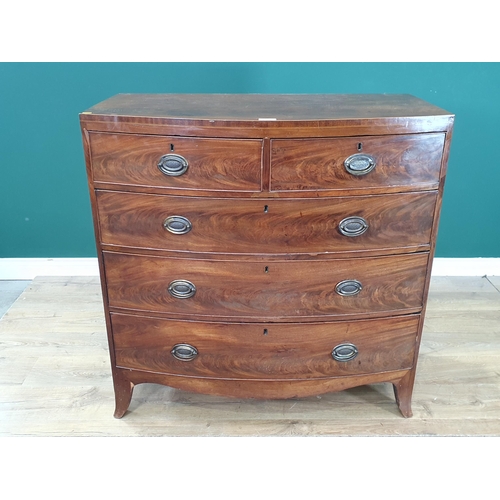 470 - A 19th Century mahogany bow fronted Chest of two short and three long drawers on splayed feet 3ft 5i... 