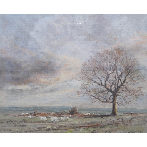 426 - RICHARD MATHER. Westhope Common, Herefordshire; and Across the Fields, Weobley, signed and dated 198... 