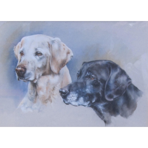 427 - SUSAN HOOLAWAY(?) Two Labradors, indistinctly signed and dated 1986, watercolour, with touches of wh... 