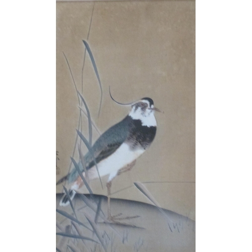 439 - CHINESE SCHOOL, 20th Century. Studies of birds on branches, watercolour, 16 x 8in; three (3)