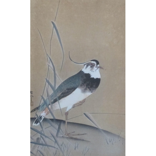 439 - CHINESE SCHOOL, 20th Century. Studies of birds on branches, watercolour, 16 x 8in; three (3)