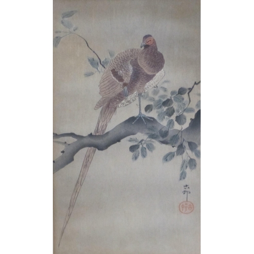 439 - CHINESE SCHOOL, 20th Century. Studies of birds on branches, watercolour, 16 x 8in; three (3)