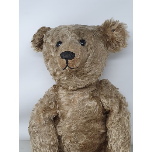 306A - A Steiff centre seam golden mohair Teddy Bear, c.1909 with button in right ear, 22in H A/F