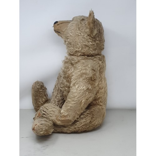 306A - A Steiff centre seam golden mohair Teddy Bear, c.1909 with button in right ear, 22in H A/F